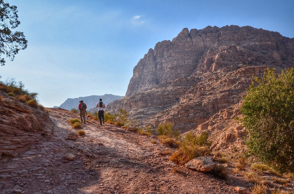 Dana Biosphere Reserve offers numerous hiking and trekking trails, providing opportunities for outdoor enthusiasts to explore its stunning landscapes