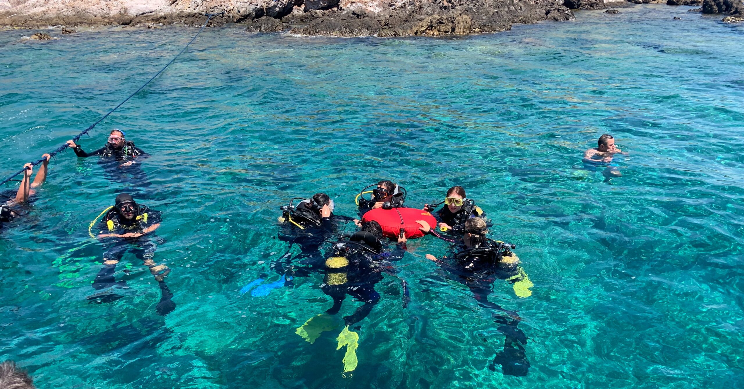Diving Experience in Red Sea