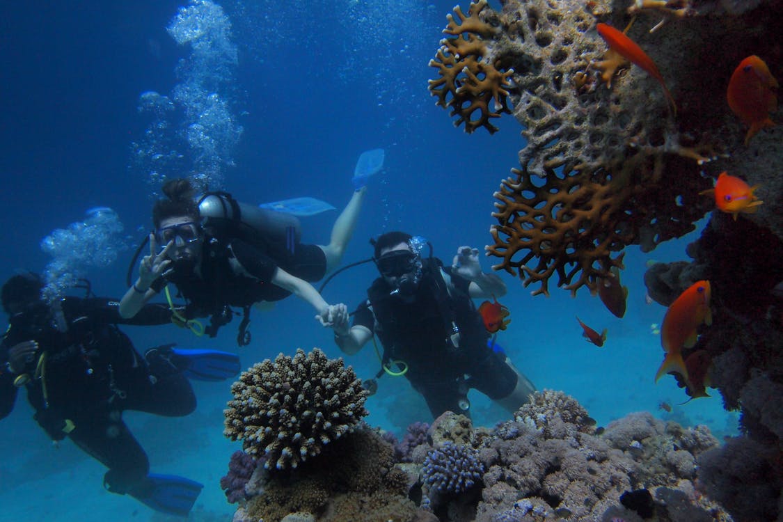 Diving Experience In The Heart Of Red Sea In Aqaba