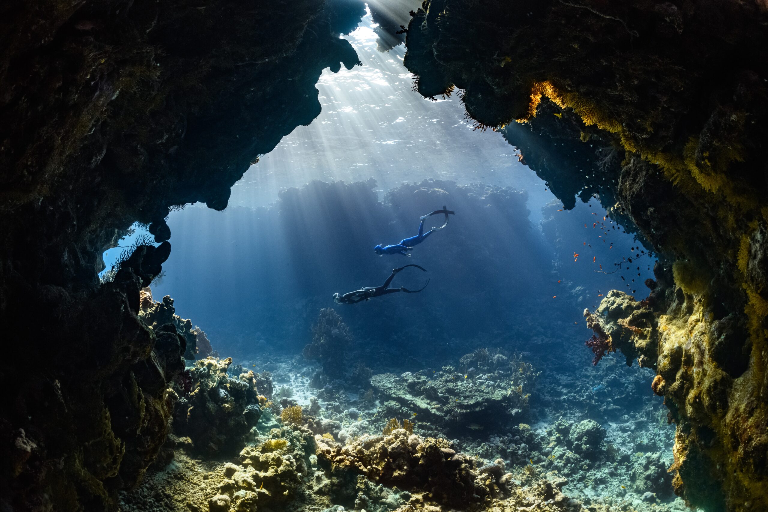 Diving Tour in Jordan -Aqaba Aquatic Treasures