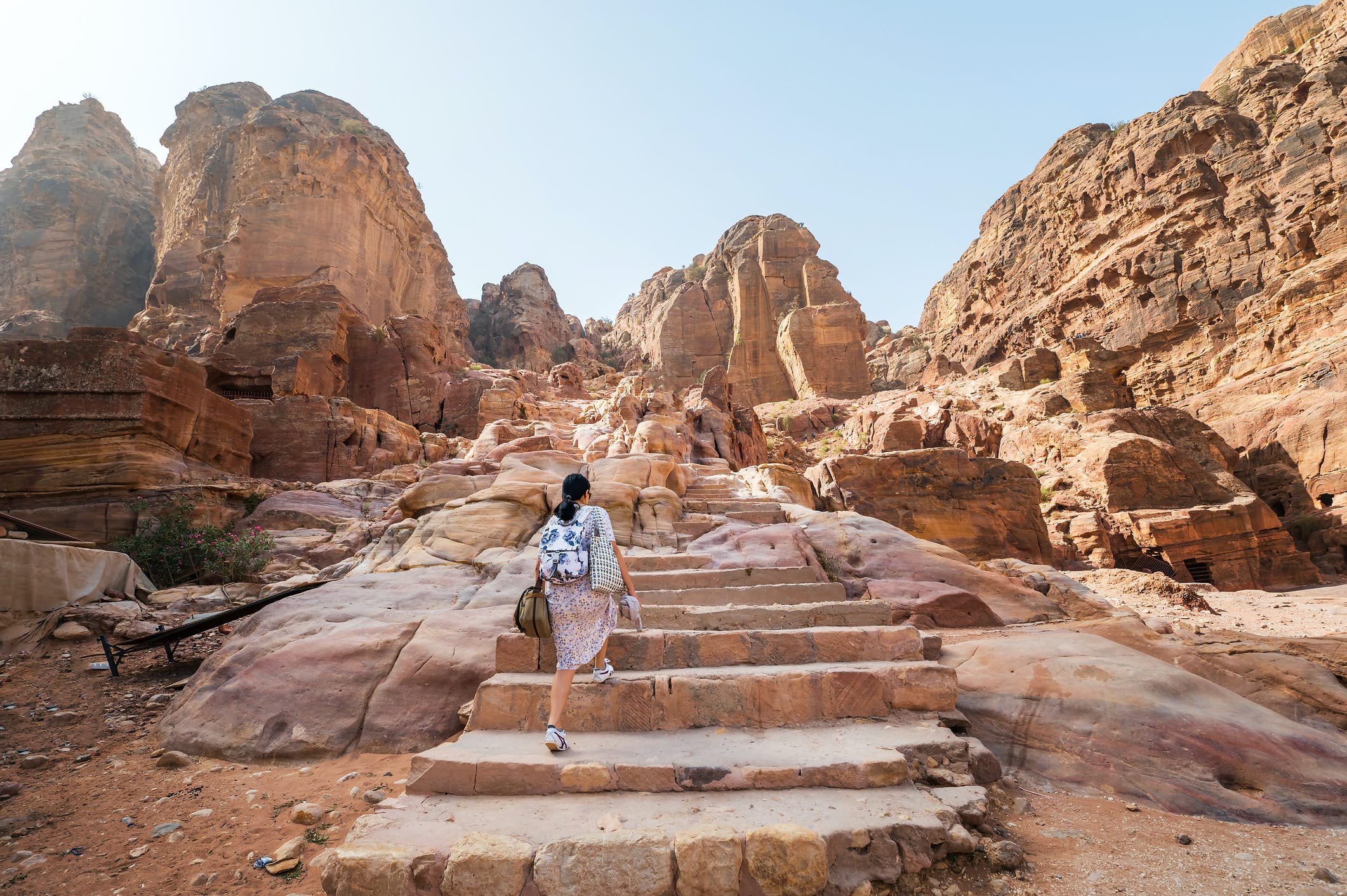 Petra, the Dead Sea and Wadi Rum Tours: Discovering Jordan's Hidden Gems