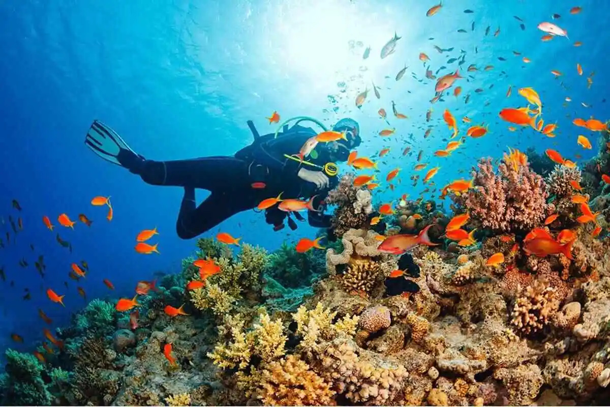 Aqaba Diving Centers